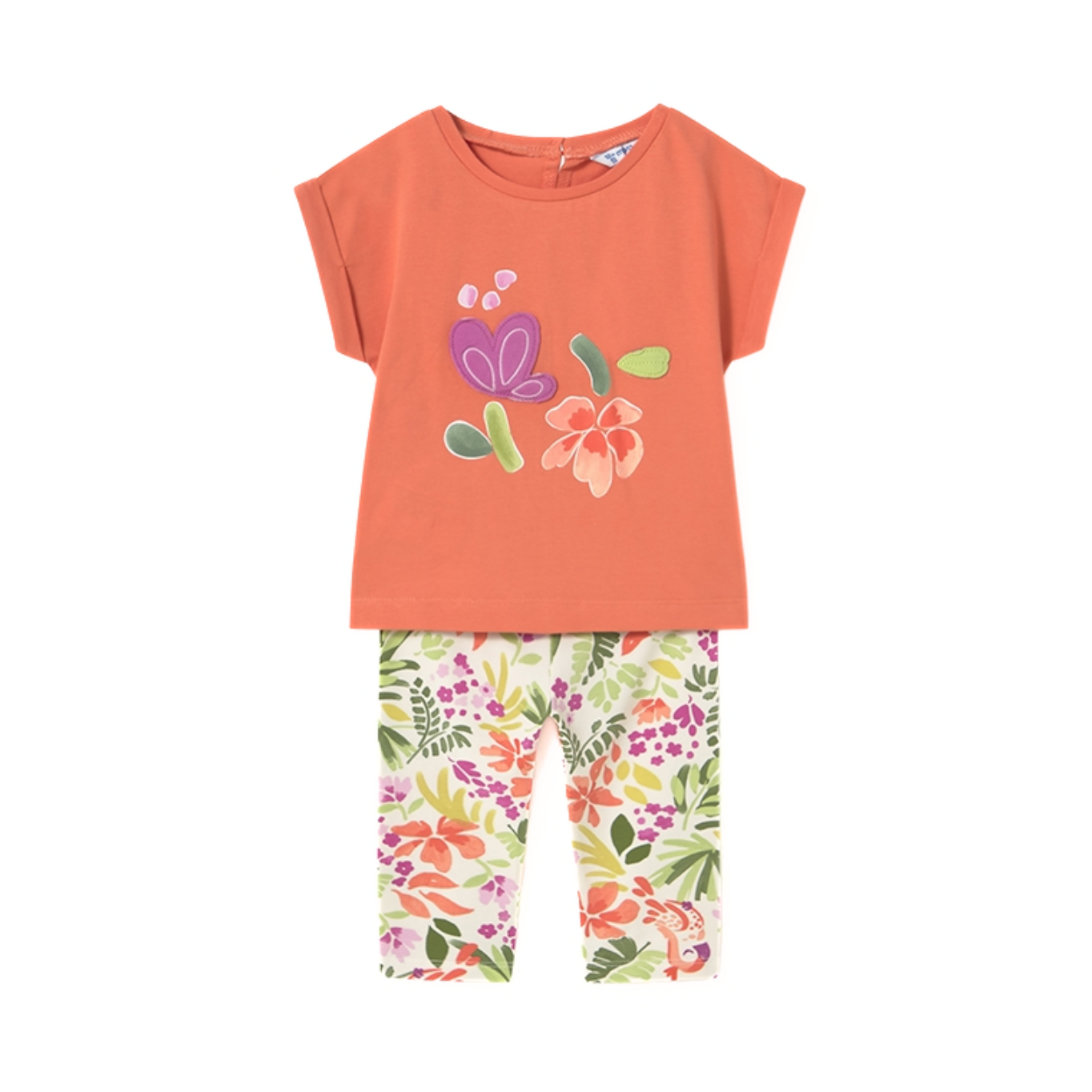 FLORIPONDIA SET