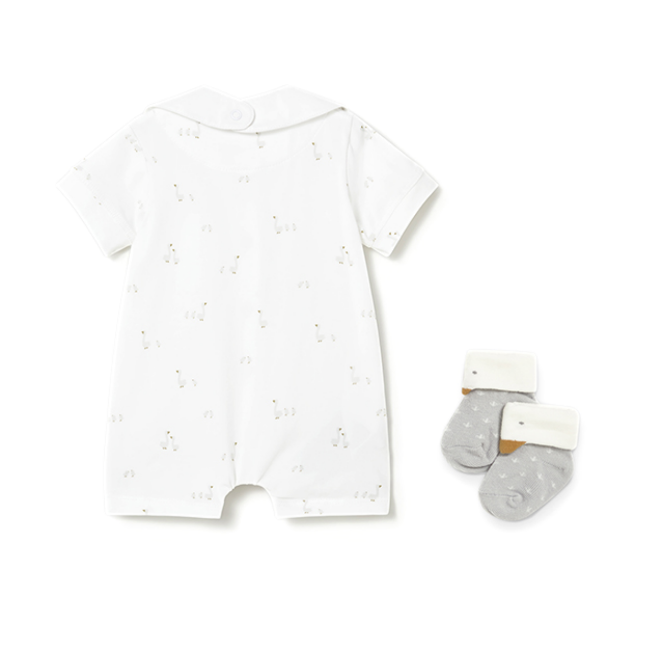 IVAN ROMPER