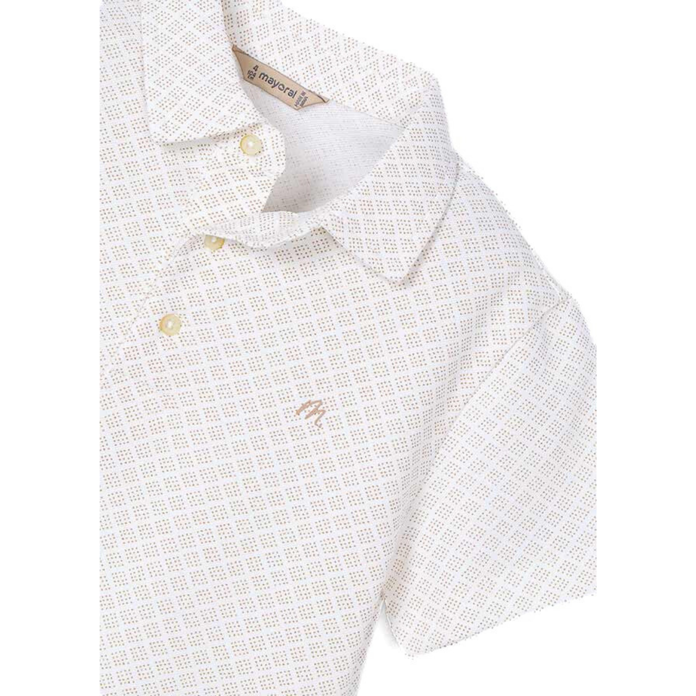 NICOLAS POLO