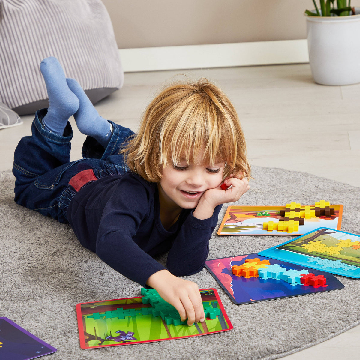BIG PICTURE PUZZLES